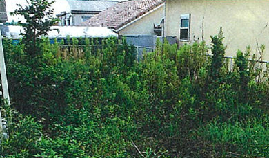 草なしくん　施工時